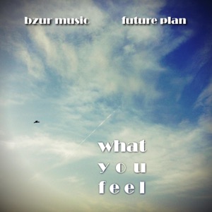What You Feel (feat. Future Plan) - Single