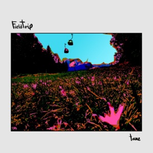 FieldTrip - Single