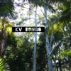 KV - Bongo