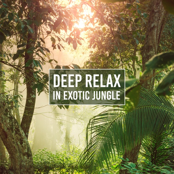 Deep Relax in Exotic Jungle: Amazonian Oasis, Tropical Harmony, Birds of Peace Island, Rhythm of Calming Forest
