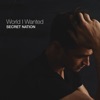 World I Wanted - Single artwork