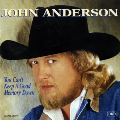 You Can't Keep a Good Memory Down - John Anderson