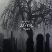 Live or Die artwork