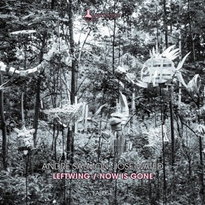 Leftwing / Now Is Gone - Single