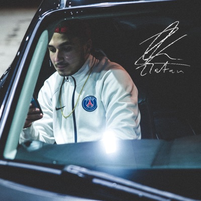 Zlatan [feat. Jonas Benyoub, Pumba, Lotus & Temoor] [Remix] - Single