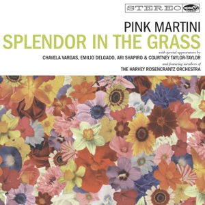 Pink Martini - But Now I'm Back - Line Dance Musik