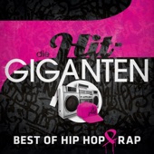 Die Hit Giganten Best of Hip Hop & Rap artwork