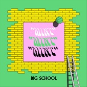 Big School - No Money