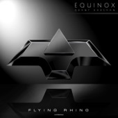 Equinox (Original) artwork