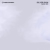 Silver Rain (2015 VIP) - Single