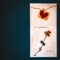 Lo Correcto (feat. Malu Tali) - Zathia lyrics