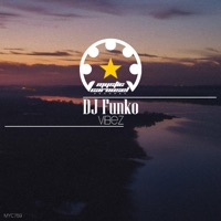 Vibez - Single - DJ Funko