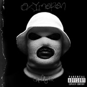 Oxymoron (Deluxe Version) artwork