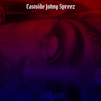 Sprzsmr17