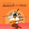Pierre Blanchard Romanipen (feat. Pierre Blanchard) Manouche a La Turca