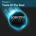 Tears of the Soul - Single album cover