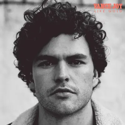 Like Gold - Single - Vance Joy