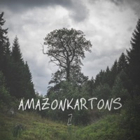 Lukas Litt - Amazonkartons