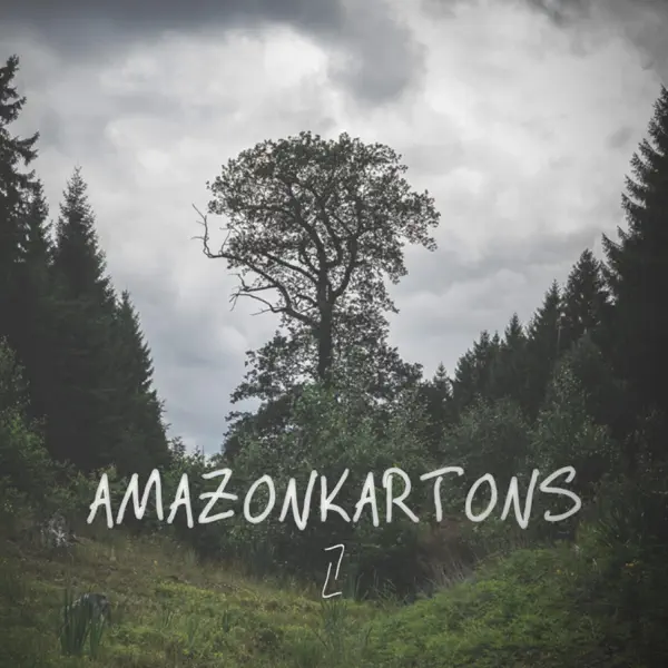 Amazonkartons — Lukas Litt