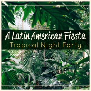 A Latin American Fiesta – Tropical Night Party, Cocktail & Drink Bar Collection