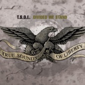 Divided We Stand artwork
