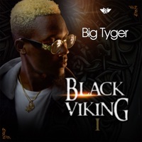 Black Viking, Vol. 1 - Big Tyger