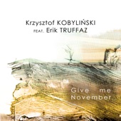 Give Me November (feat. Erik Truffaz) artwork