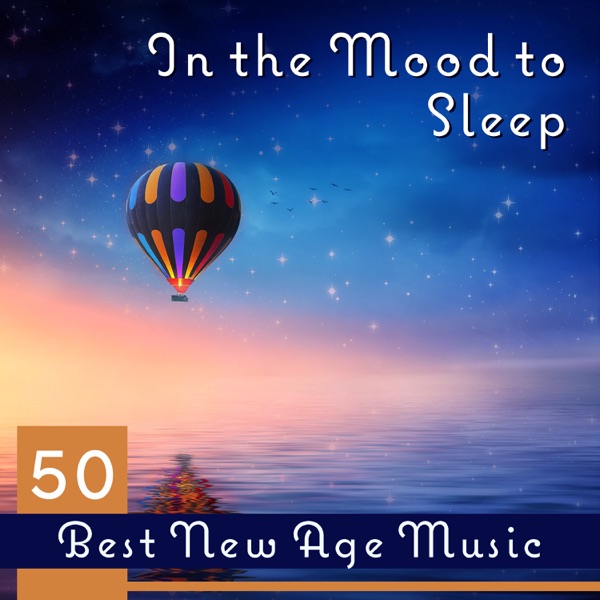 In the Mood to Sleep: 50 Best New Age Music with Nature Sounds, Deep Sleep Inducement, Rainy Atmospheres