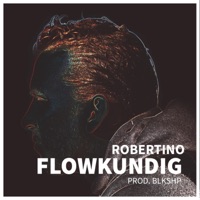 Flowkundig - Single - Robertino