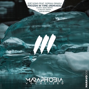 Frozen in Time (Remixes) [feat. Sophia Omarji] - Single