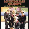 CATARINO Y LOS RURALES