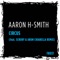 Circus (Scruby & Aron Chiarella Remix) - Aaron H-Smith lyrics