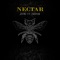 Nectar (feat. Zuliani) - Jeebz lyrics