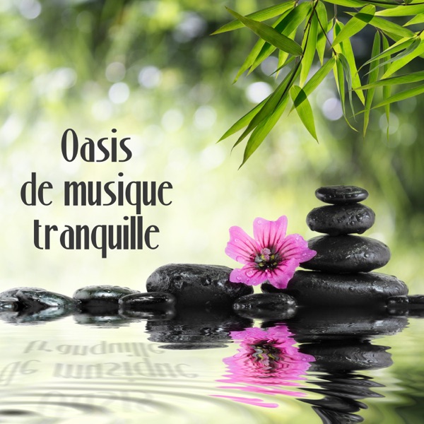 Oasis de musique tranquille: Moments de relaxation profonde, sophrologie, méditation bouddhiste dans le jardin zen, détente et bien-être