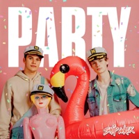 Party - Single - Ship Wrek