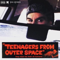 Teenagers from Outer Space - Single - Don Zzombie