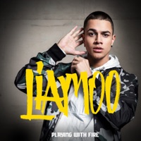Playing With Fire - Single - LIAMOO