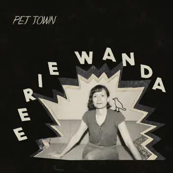 Pet Town album cover