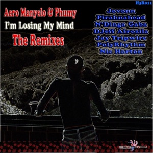 I'm Losing My Mind (The Remixes)