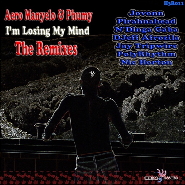 I'm Losing My Mind (The Remixes)