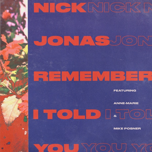 Remember I Told You (feat. Anne-Marie & Mike Posner) - Single - Nick Jonas