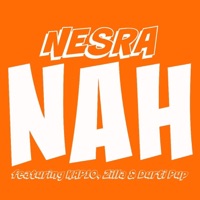 NAH (feat. Kap10, Zilla & Durti Pup) - Single - Nesra