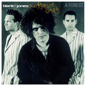 Blank & Jones - A Forest (Chilltronica Mix)