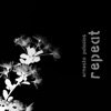 Ernesto Palacios - 12