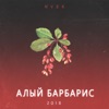 Алый барбарис - Single