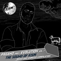 Pagano presents Evolution, Vol. 1 - Pagano