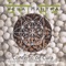 Guru Brahma - Concerto de Cura lyrics