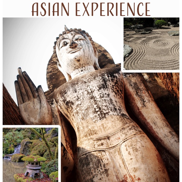 Asian Experience: Chinese Zen Garden