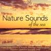 Nature Sounds of the Sea – Water Drops, Waves & Seagulls, Relaxing 1 Hour Songs for Relaxation Meditation and Deep Sleep - Various Artists
