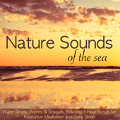 Nature Sounds of the Sea – Water Drops, Waves & Seagulls, Relaxing 1 Hour Songs for Relaxation Meditation and Deep Sleep - Verschillende artiesten